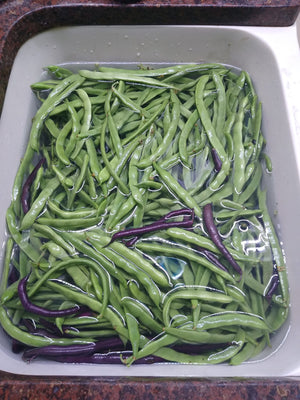 Freeze Dried Green Bean Family Pack