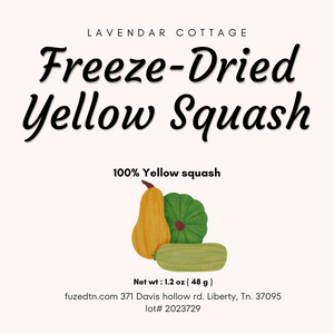 Freeze Dried Yellow Squash slices Family Pack